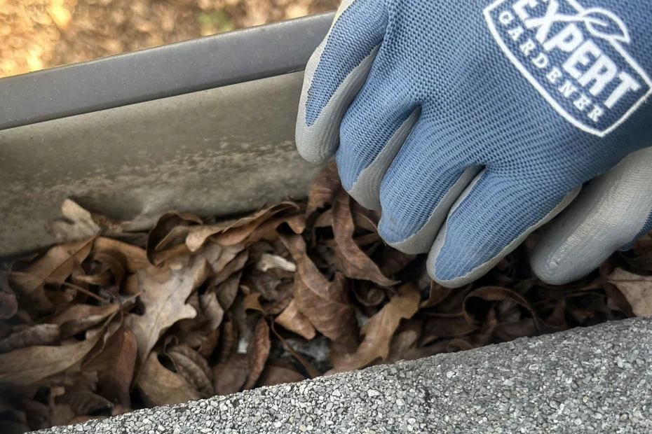 Gutter Cleaning Knightdale