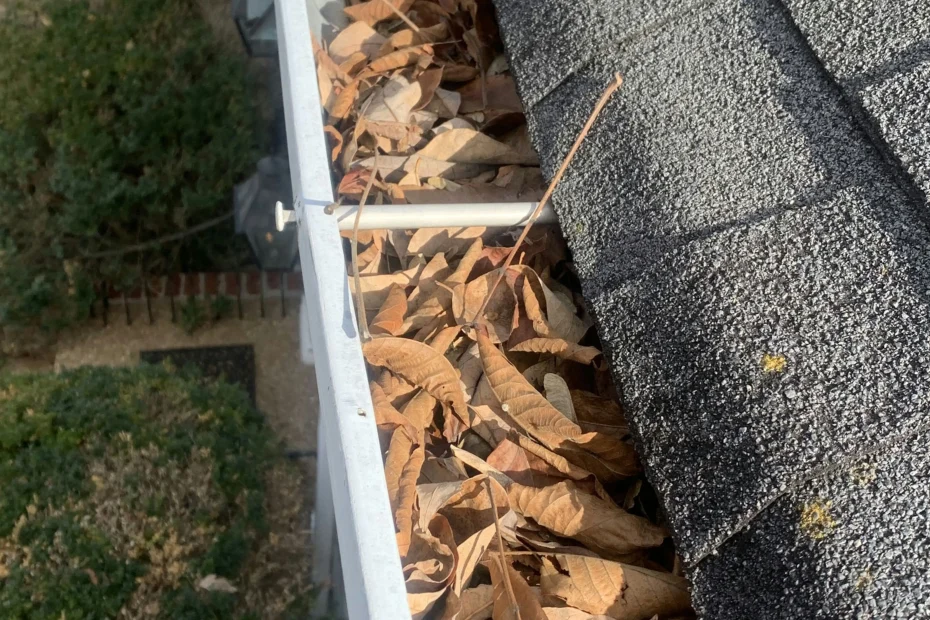 Gutter Cleaning Knightdale